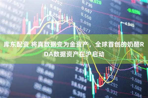 库东配资 将真数据变为金资产,全球首创的奶酪RDA数据资产在沪启动